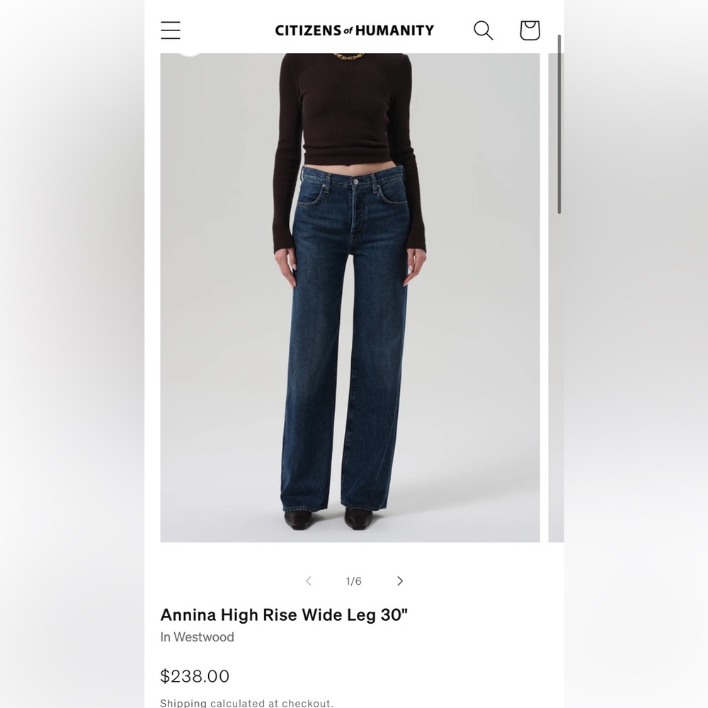 Citizens of Humanity Annina High Rise Wide Leg 30"